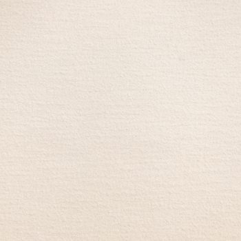 Tantallon Textured Fabric, Champagne